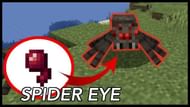 A spider and its eye (Image via RajCraft on YouTube)
